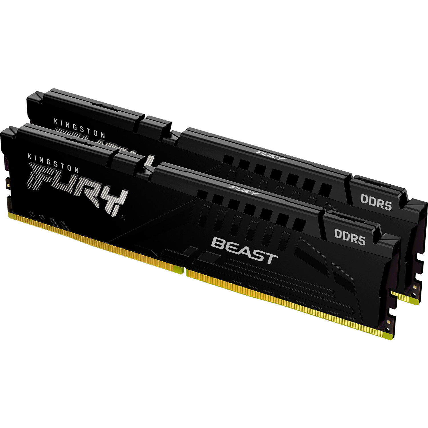 Память оперативная Kingston FURY Beast KF560C30BBEK2-32